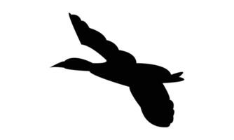 Flying Duck Bird Silhouette Design And Illustration. vector