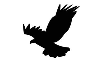 Flying Eagle Silhouette Design And Illustration. vector