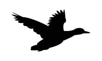 Flying Duck Silhouette vector