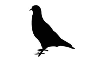 Pigeon Silhouette Design vector