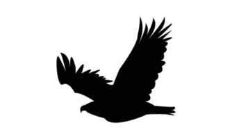Eagle Is Flying Silhouette Design And Illustration. vector