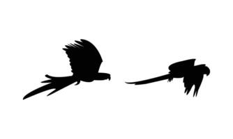 Two Flying Parrots Black Silhouette Design vector