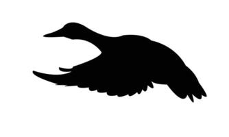 Flying Duck Silhouette Design vector
