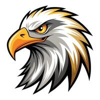 Eagle head isolated background vector