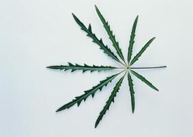 Leaves close view background. Leaf shape photo