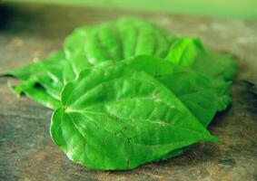 Leaves close view background. Leaf shape photo