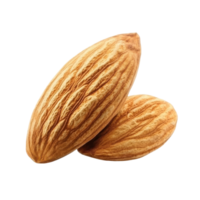Dried Almond Isolated for Healthy Snacking and Culinary Uses on Transparent Background png