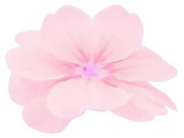 Flower shape isolated over solid background. Flower close view clipart template photo