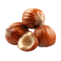 Fresh Hazelnuts with Shell png