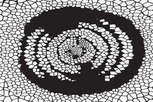 High Resolution Black and White Overlay Texture vector