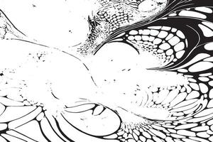 Creative Black Abstract Layers on White for Texture and Overlay vector