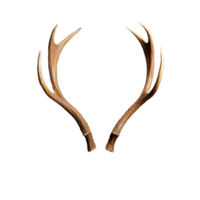 Majestic deer antlers symmetrical design on transparent background png