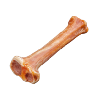 Realistic dog chew bone for pets on transparent background png