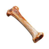 Dog chew bone with natural texture and color on transparent background png