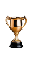 Elegant golden trophy with ornate handles and shiny surface on transparent background png
