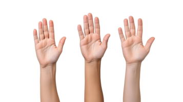 Diverse human hands raised with open palms on transparent background png