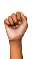 Raised fist symbolizing strength and unity on transparent background png