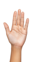 Open hand gesture showing palm with fingers extended on transparent background png