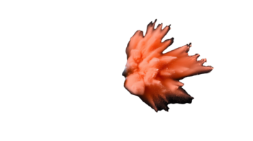 Vibrant abstract coral shape with fluid edges and dynamic colors on transparent background png