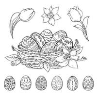 nest with eggs and tulips hand drawn in doodle vector