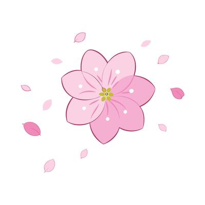 Pink Cherry Blossom Flower Petals Spring Nature Design Illustration