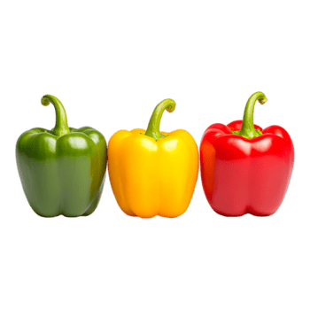 ein bunt Glocke Pfeffer png