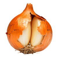 Close-Up of Split Onion with Unique Texture and Color Details png