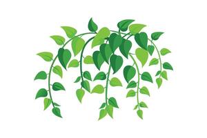 Vine Leaf Circle Frame - Elegant Botanical Border for Minimalist Natural Art vector