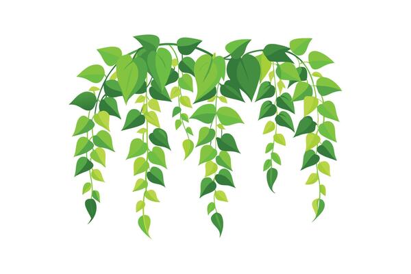 Elegant Vine Circle Frame - Foliage Design for Minimalist Decorative Natural Art