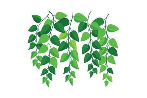 Vine Leaf Circle Frame - Elegant Botanical Design with Foliage, Minimalist Decorative Border for Natural Art vector