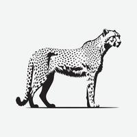 Cheetah silhouette on a white background vector