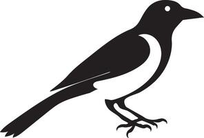 Create a Beautiful Magpie Bird Silhouette Design vector