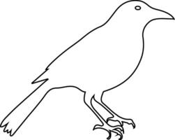 magpie bird silhouette design vector