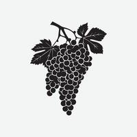 Black and white illustration of grapes on a branch vector