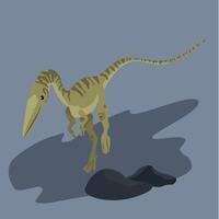 Coelophysis Carnivore Small, slender dinosaur, a fast hunter in open plains vector