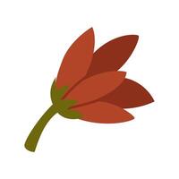 flat color illustration of a red magnolia with a green stem, a half-closed bud painted on the sides. An isolated illustration of a dried flower for herbarium and scrapbooking. Simple bright bud petals vector
