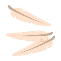 The set is a group with bird feathers. A flat illustration highlighted on a white background. Several feathers are isolated together on a white background. Delicate light fluffy feathers vector