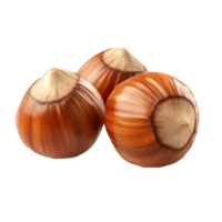 Fresh Hazelnuts for Snacking png