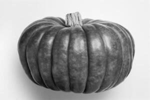Queensland Blue Pumpkin Background photo