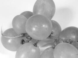 Vibrant Seedless Grapes on White Background photo