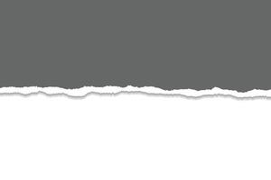 Torn Paper Edges with Shadow on White Background vector