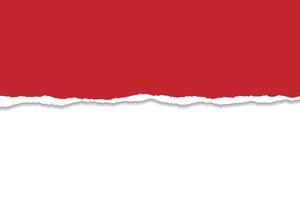 Torn Paper Edge with Red Background and White Bottom for Creative Use vector
