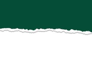 Realistic Torn Paper Edge with Green Background vector