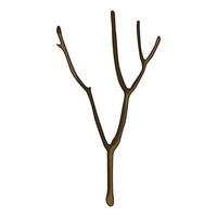illustration of twig vector