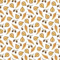 Autumn leaves, acorns on a white background. All objects are hand-painted with watercolor, watercolor seamless pattern. For textiles, printing on paper, fabric, for decoration and scrapbooking vector
