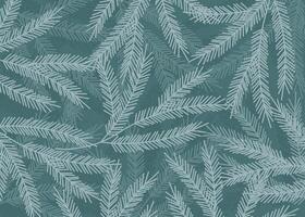 Winter Christmas background with spruce branches. vector