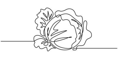 cabbage vegetable continuous one line art drawing concept on a white background vector