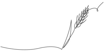 A single line drawing of a spikelet vector