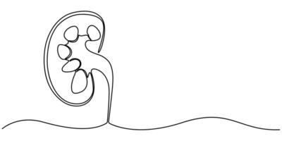Continuous One Line Drawing Human Organs Icons vector