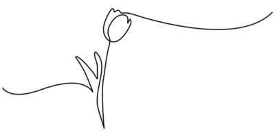 one continuous line drawing of tulip vector